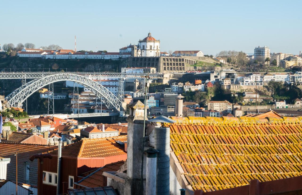 Olival 54 Oporto